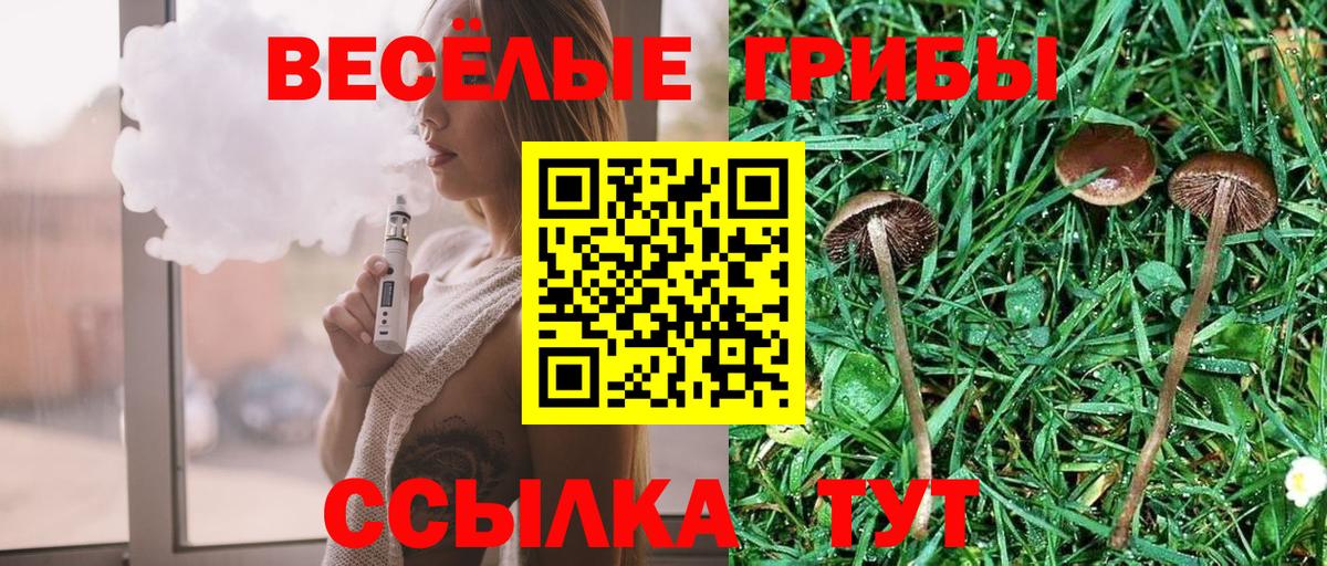 Галлюциногенные грибы MAGIC MUSHROOMS  Псилоцибиновые грибы Cubensis  Вход с VPN  Старая Купавна 